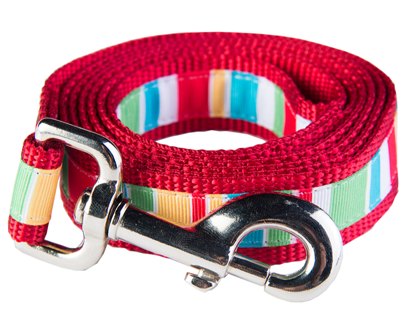 Bomb Pop Dog Leash - Push Up Stripe