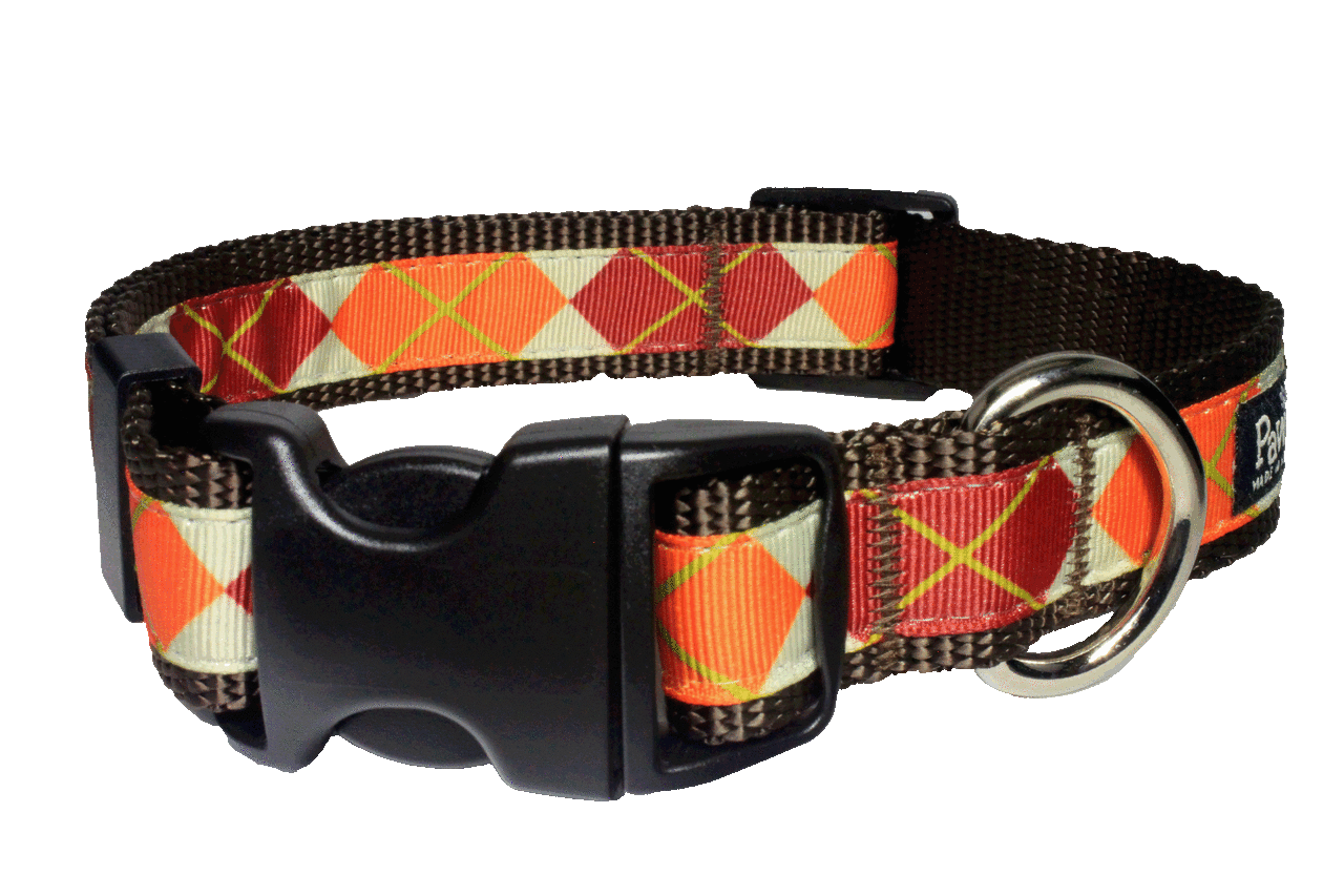 Pumpkin Spice Dog Collar - Pumpkin Argyle