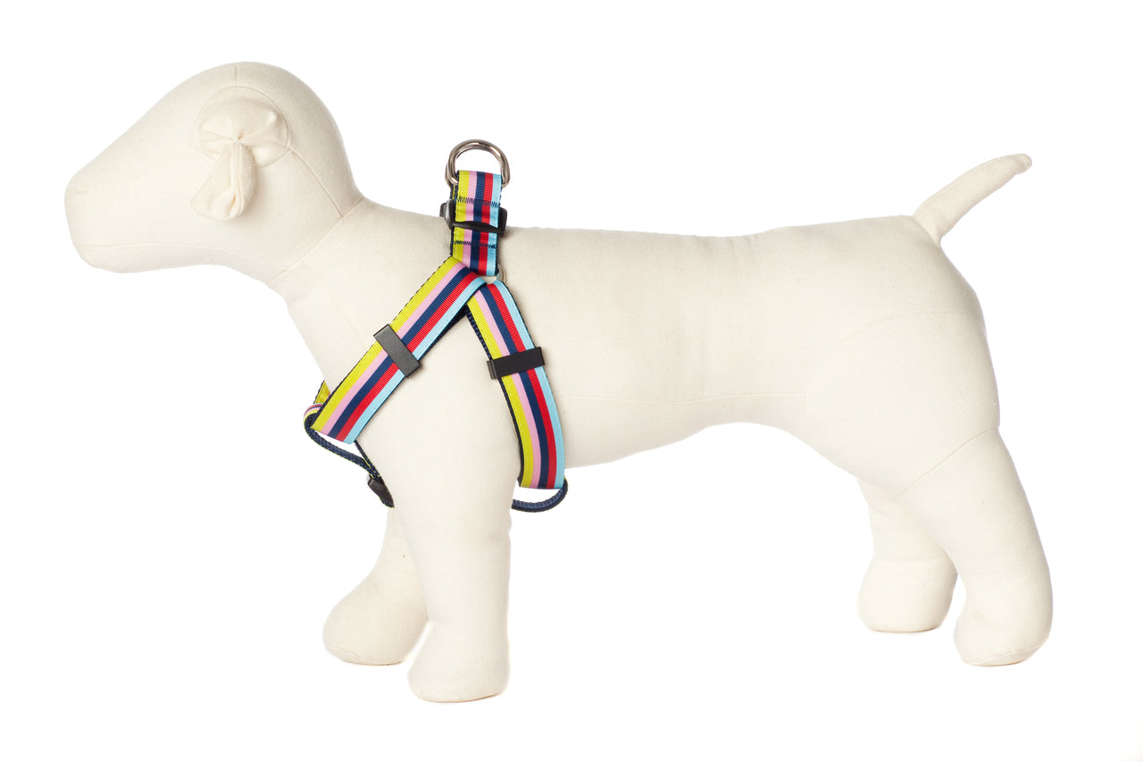 Bubble Gum Dog Harness - Yummy Gummy