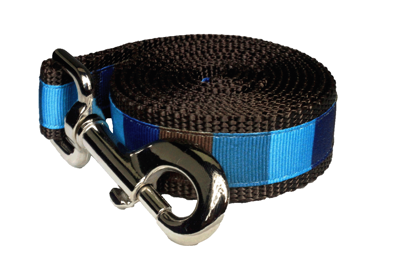 Chocolate Snow Cone Dog Leash - Ice Block