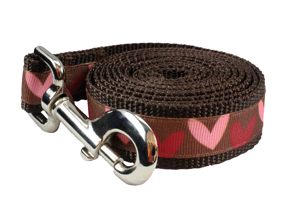 Valentines Dog Leash - Hearts