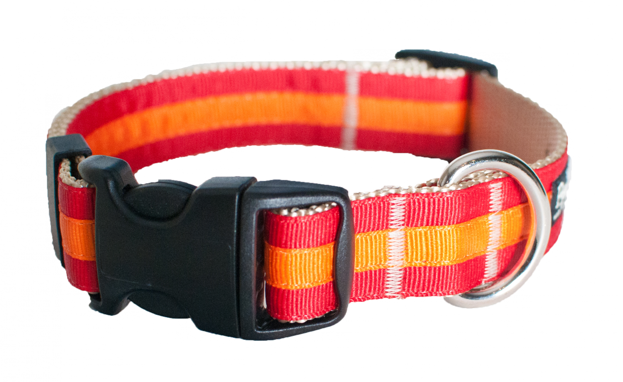 Prep School Dog Collar- Travis