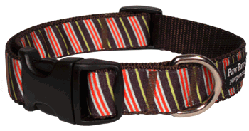 Coffee Break Dog Collar - Bean Counter