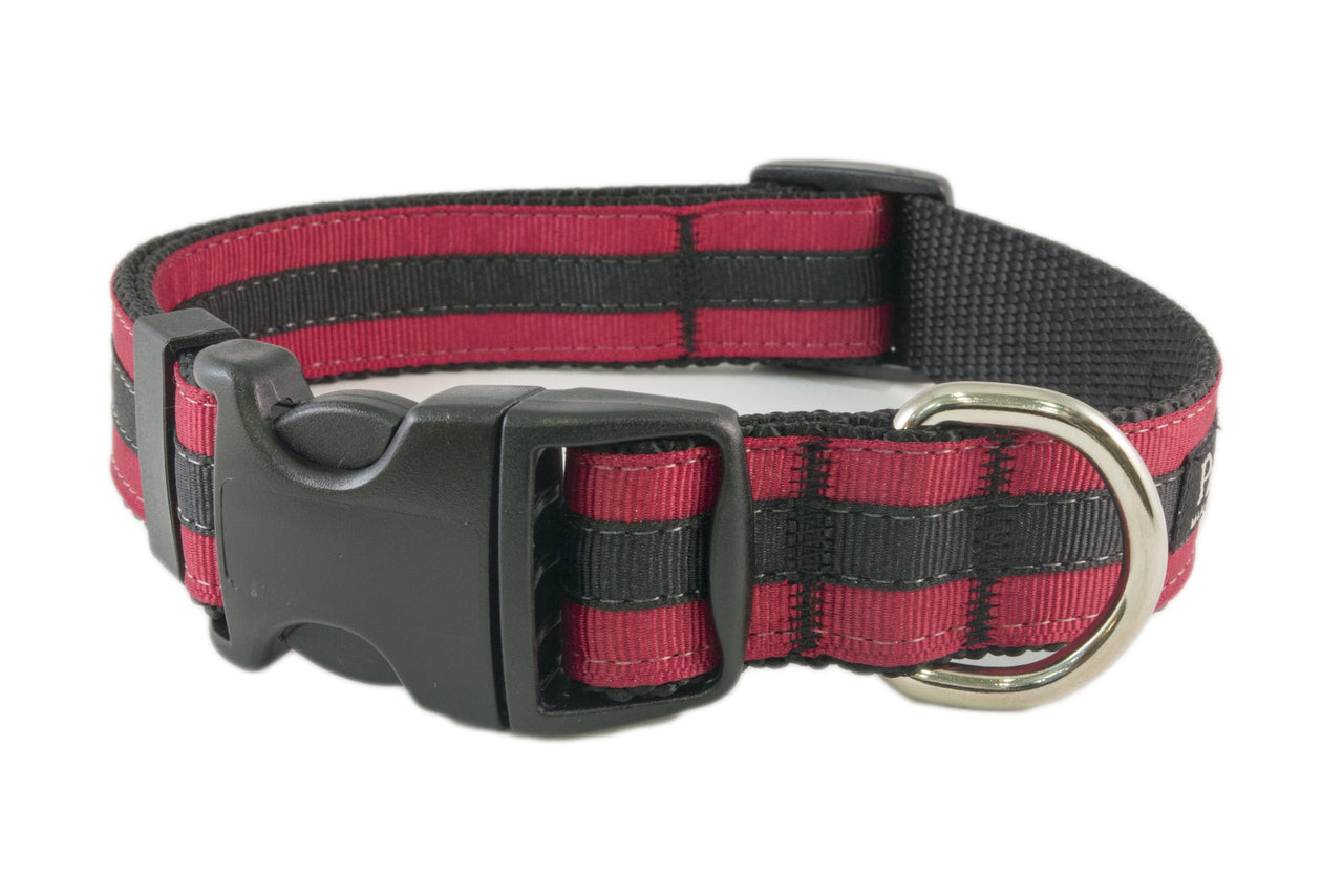 Collegiate - Gamecocks01 Dog Collar