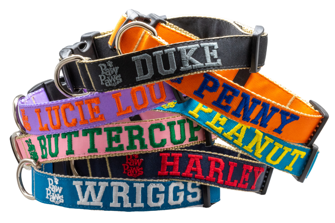 Personalized Collar