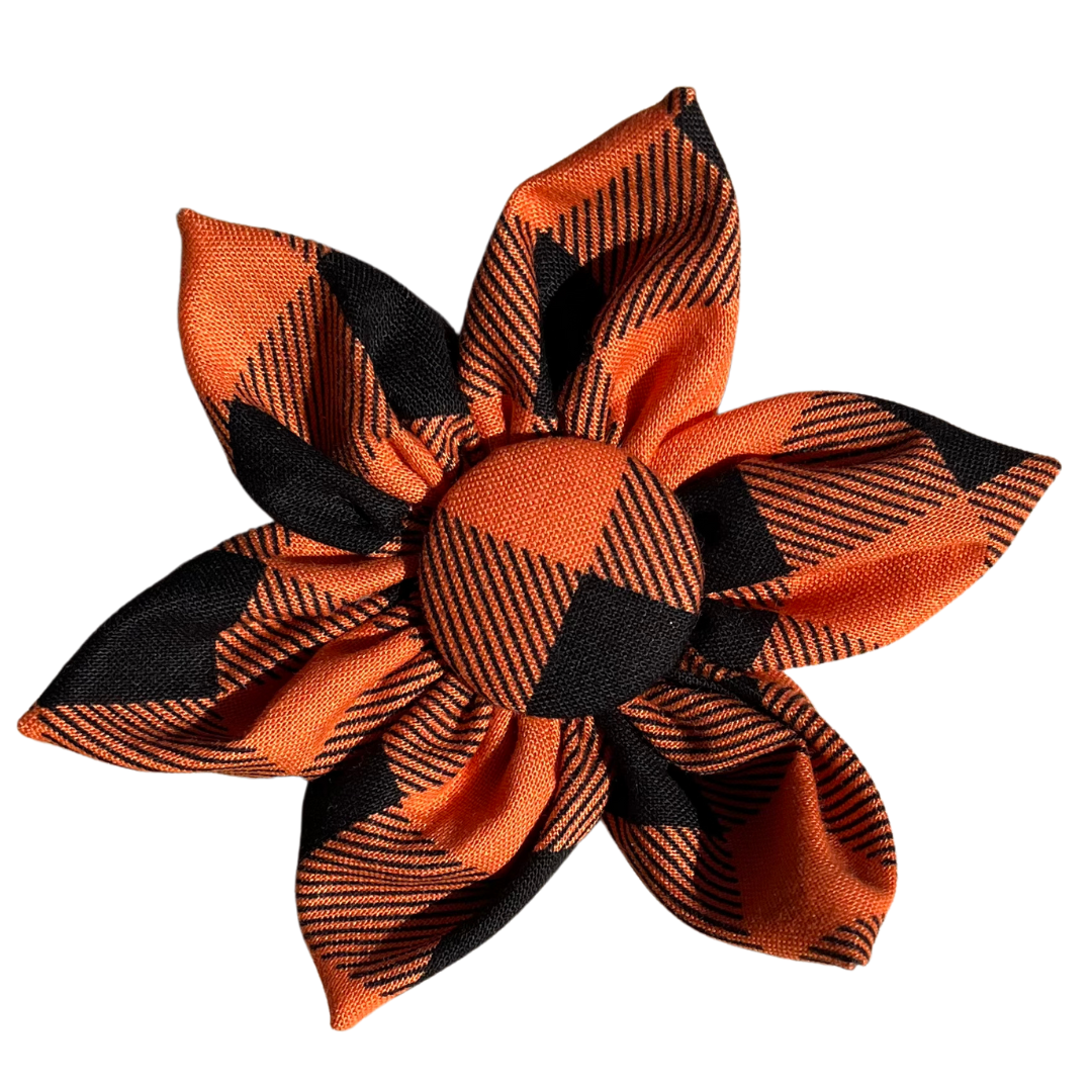 Pumpkin Patch - Blossom