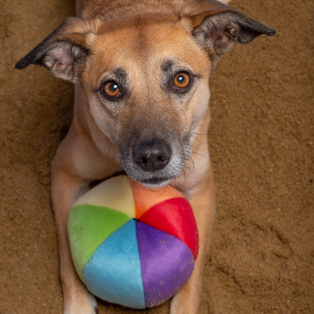 Mini beach ball