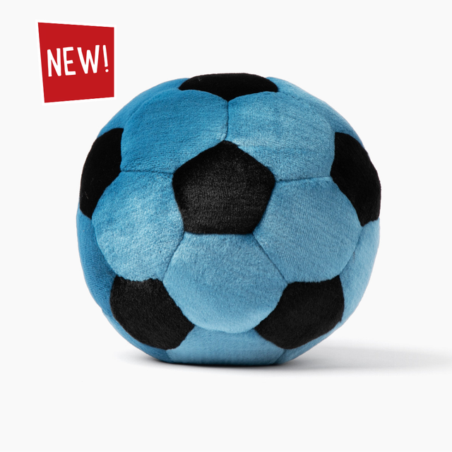 Blue Soccer Ball Dog Toy