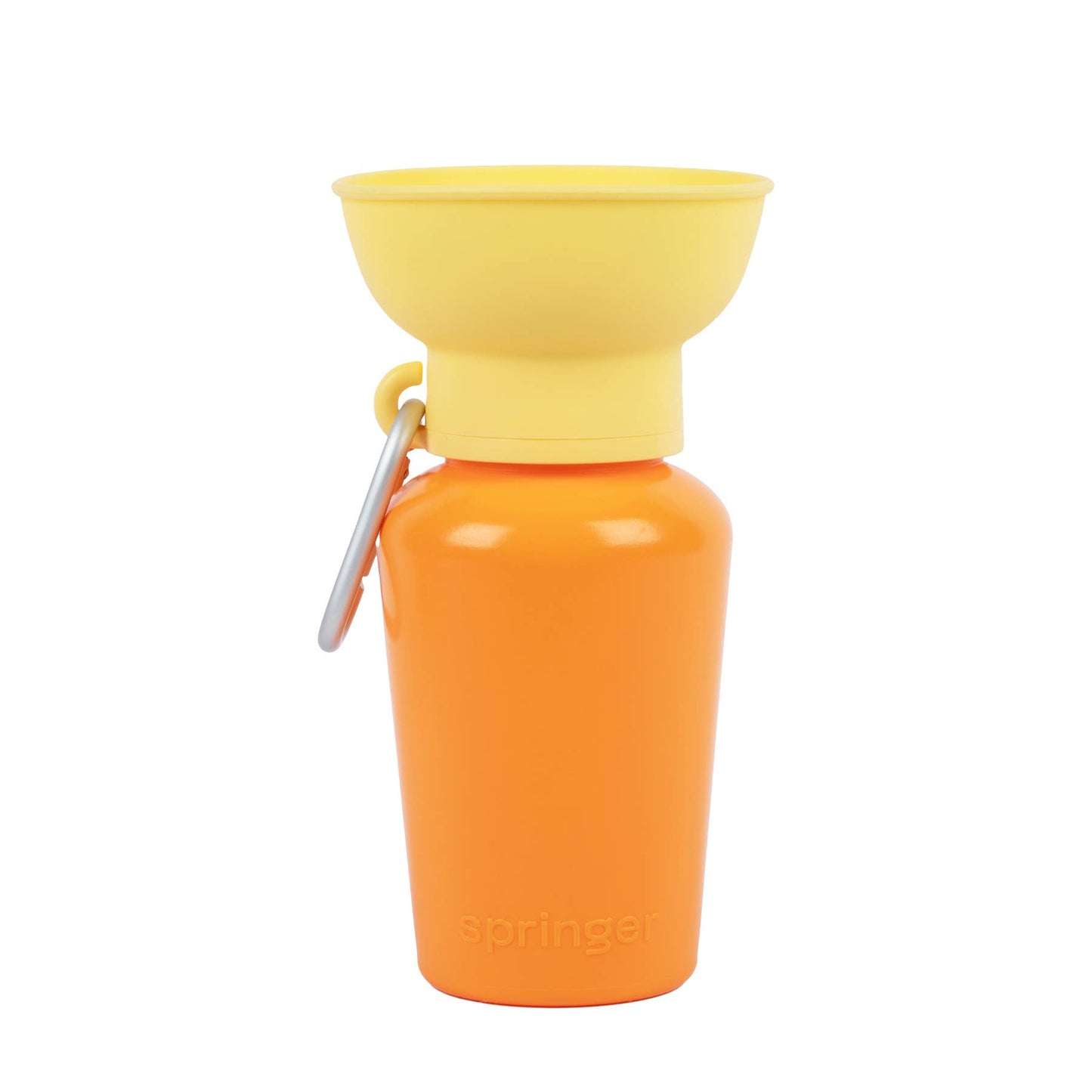 Dog Travel Water Bottle, 20oz, Flip Seasonal