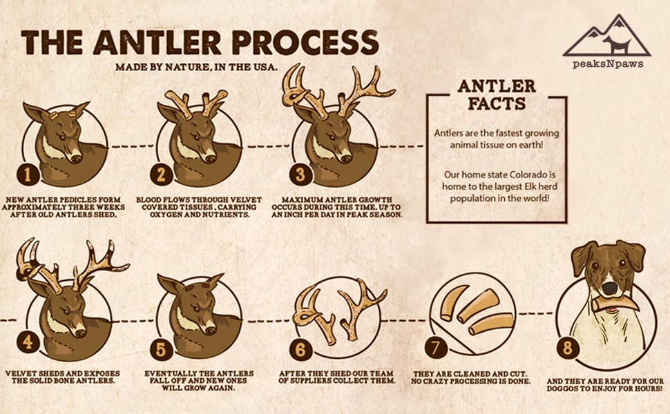 3 Pound Grade A Elk Antler Bulk Box