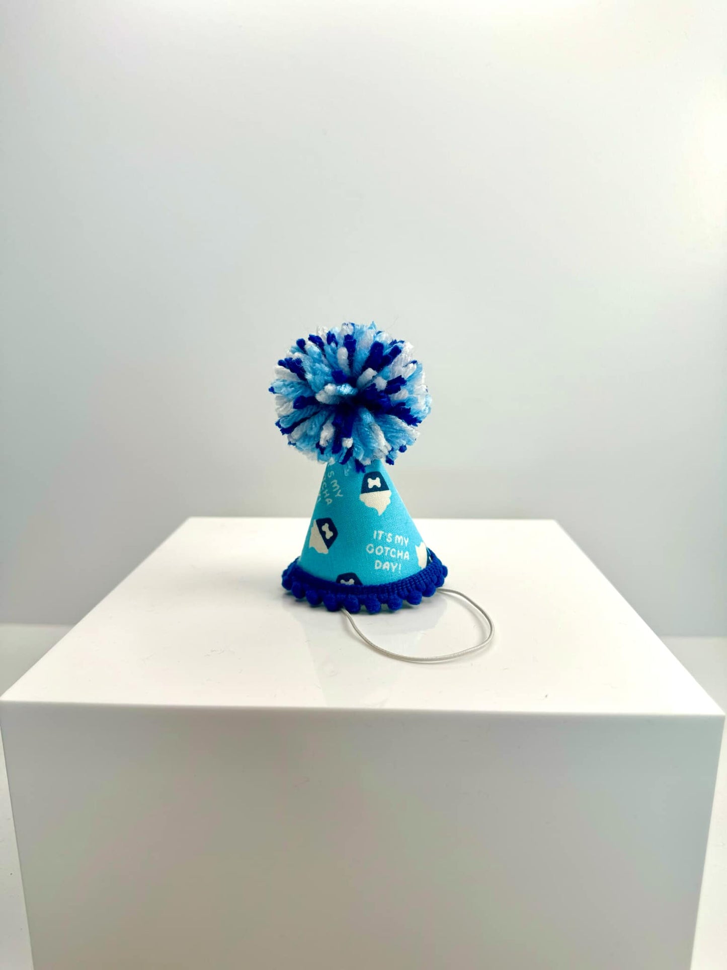 Gotcha Day Cupcake Blue Party Hat