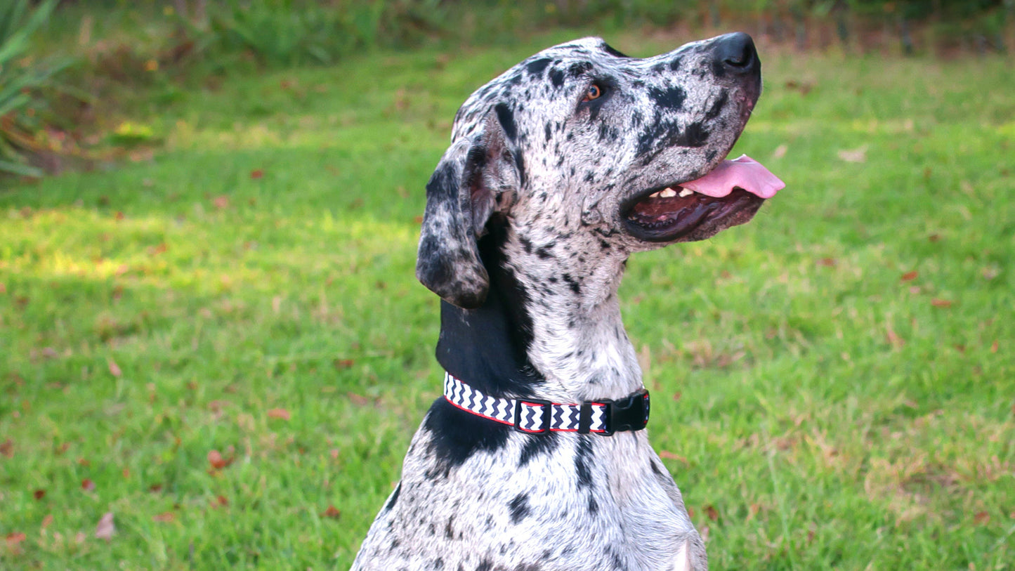 Chevron Dog Collar - Black/Red