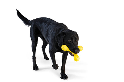 West Paw Skamp Dog Toy