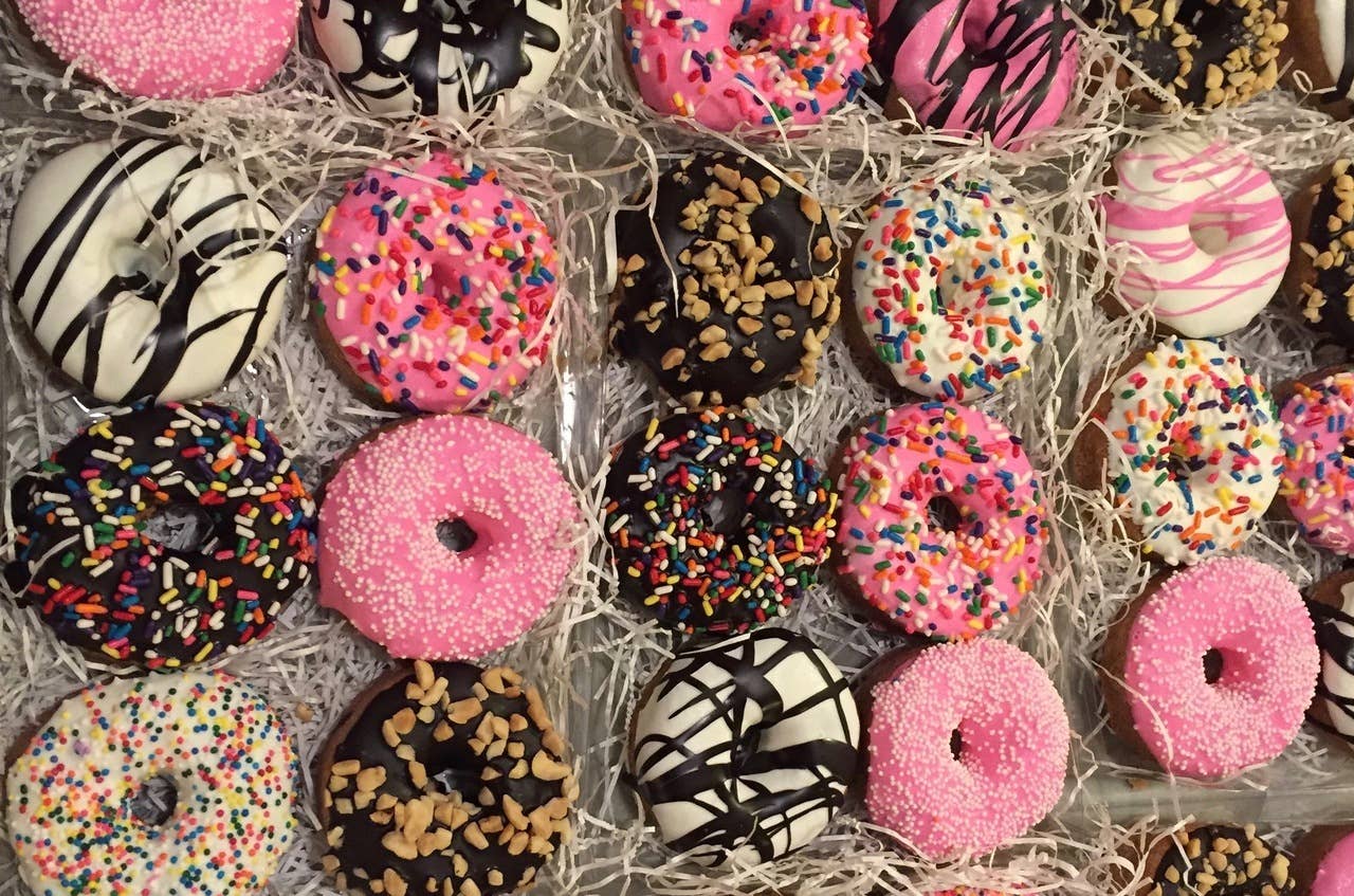 Doughnuts - Dog Treat