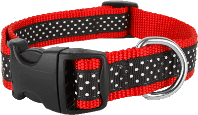 Pembroke Polka Dot Dog Collar-Black-Red