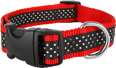 Pembroke Polka Dot Dog Collar-Black-Red