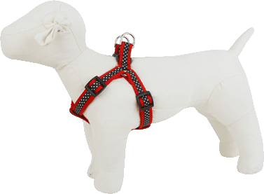 Pembroke Polka Dot Dog Harness-Black/Red