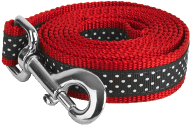Pembroke Polka Dot Dog Leash-Black/Red
