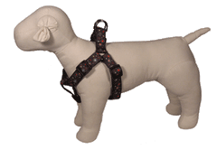 Coffee Break Dog Harness - Morning Joe