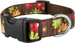 Margarita Mix Dog Collar - Sublime Lime