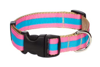 Prep School Dog Collar- Lucy