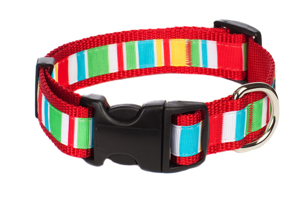 Bomb Pop Dog Collar - Push Up Stripe