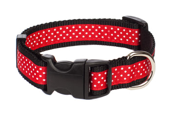 Pembroke Polka Dot Dog Collar-Red