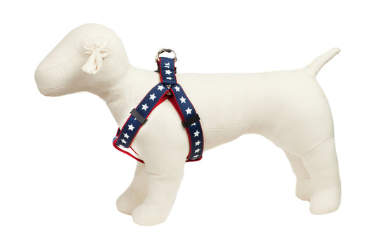 Americana Park Dog Harness-Stars