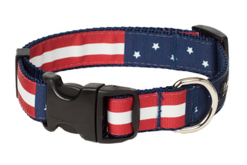 Americana Park Dog Collar-Americana Flag