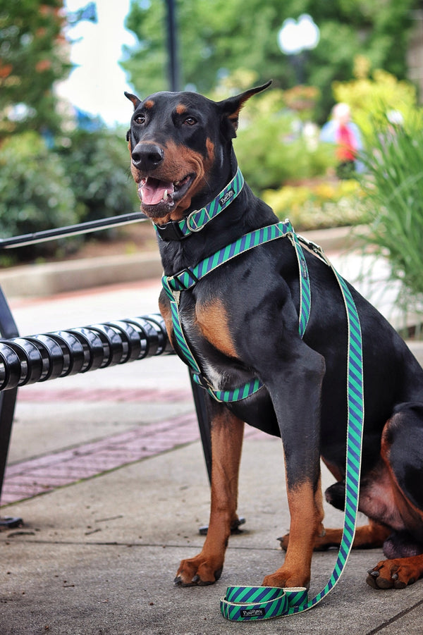 Prepster Rip Tie - Ivy League Green Harness