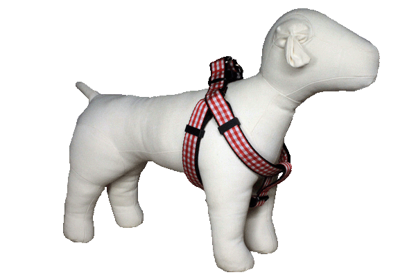 Paw Paws Picnic Basket Harness-Red