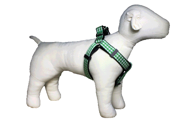 Paw Paws Picnic Basket Harness-Green