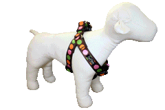 Sorbet Dog Harness-Sorbet Dot