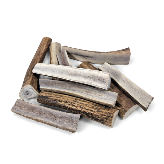 Split Elk Antlers Dog Chews – Medium/Large (5”–8”)