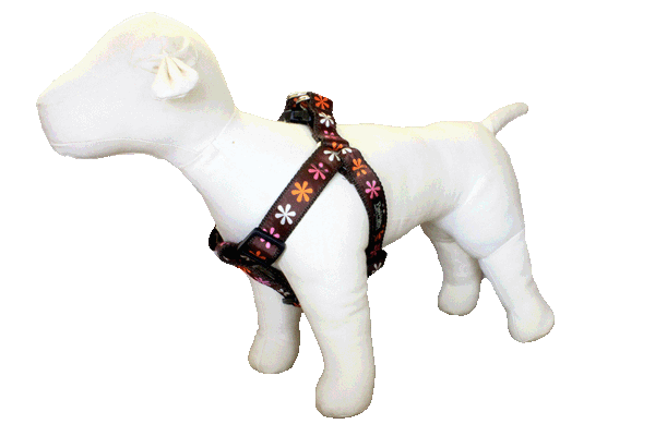 Sorbet Dog Harness-Flower Power