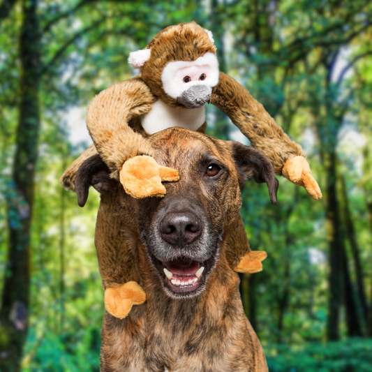 Albert Monkey Dog Toy