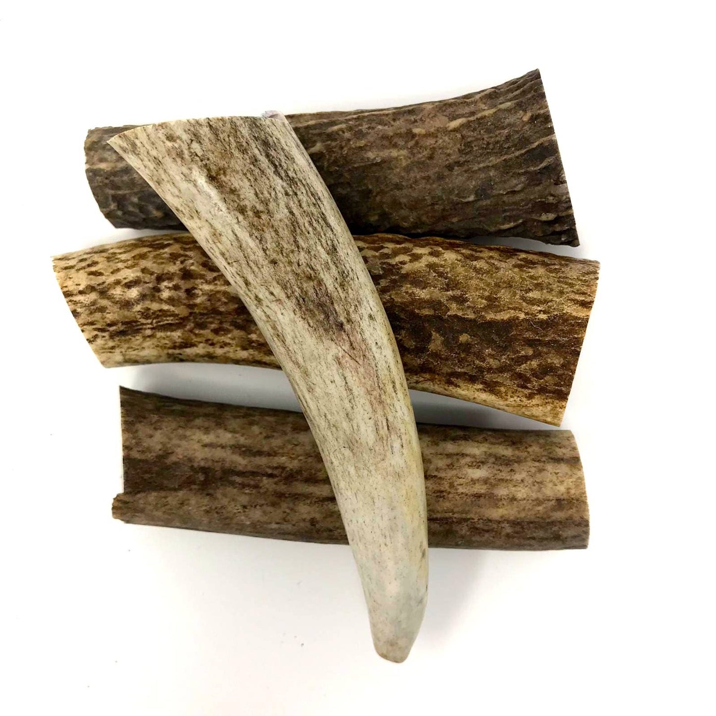 3 Pound Grade A Elk Antler Bulk Box