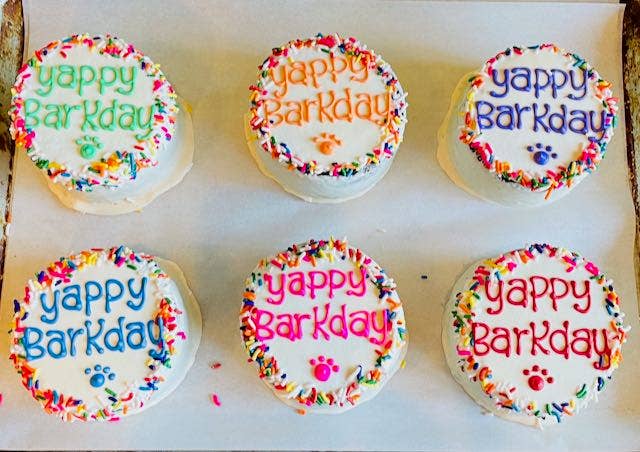 Dog Birthday Cake-Yogurt Covered Sprinkle Cake