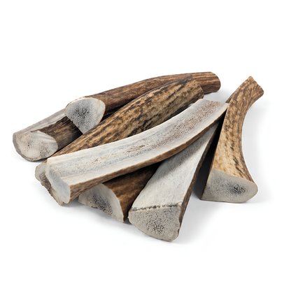 Split Elk Antlers Dog Chews – Medium/Large (5”–8”)