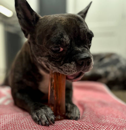 Mighty Marrows Collagen Dental Chew - Bacon