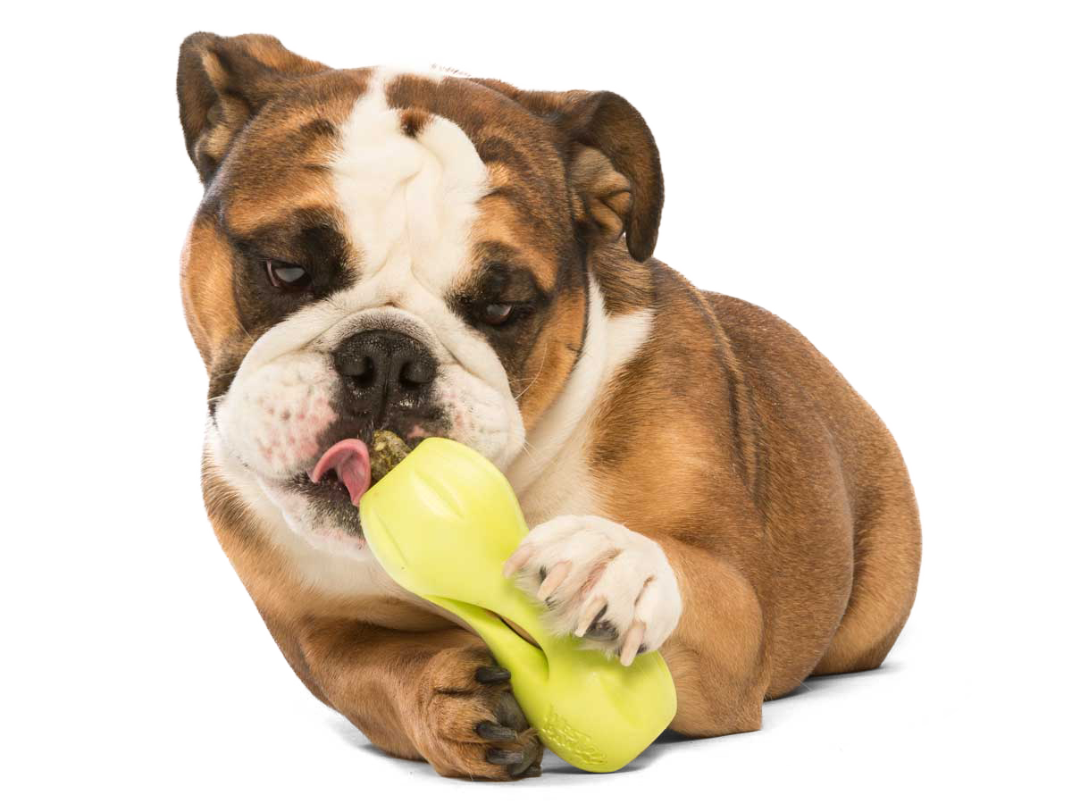 Qwizl® Dog Puzzle Treat-Dispensing Enrichment Toy