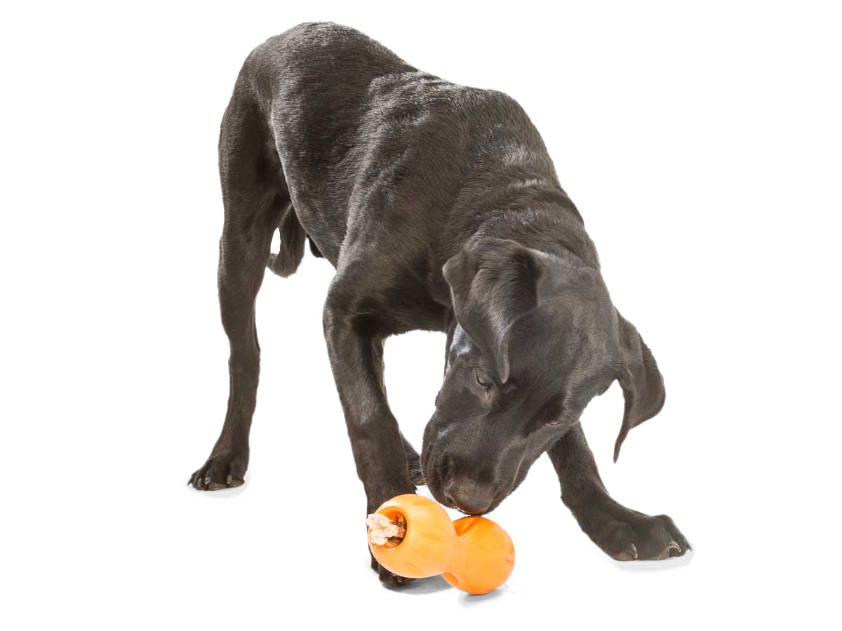 Qwizl® Dog Puzzle Treat-Dispensing Enrichment Toy