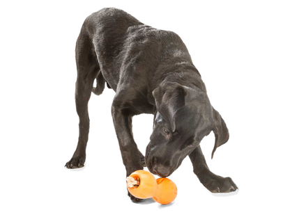 Qwizl® Dog Puzzle Treat-Dispensing Enrichment Toy
