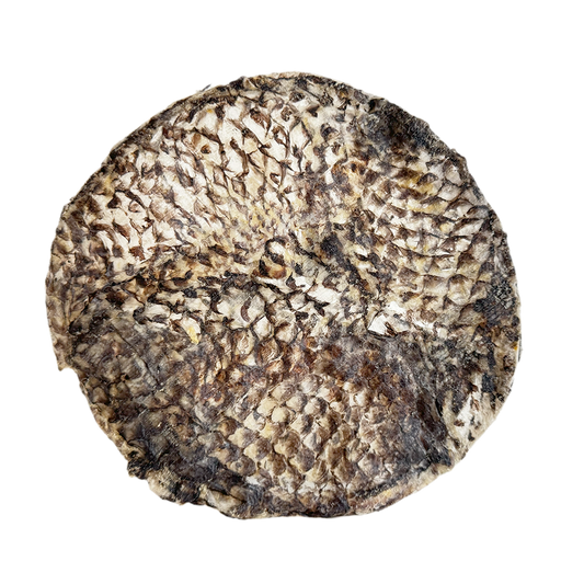 Furs-bee® Tilapia