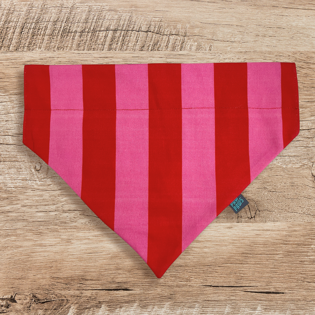 Vintage Stripe - Pawkerchief