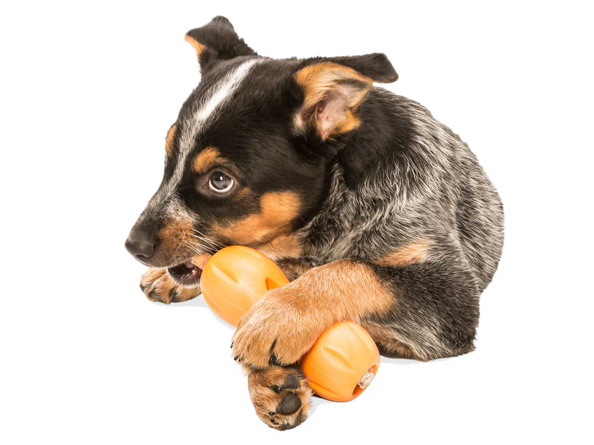 Qwizl® Dog Puzzle Treat-Dispensing Enrichment Toy