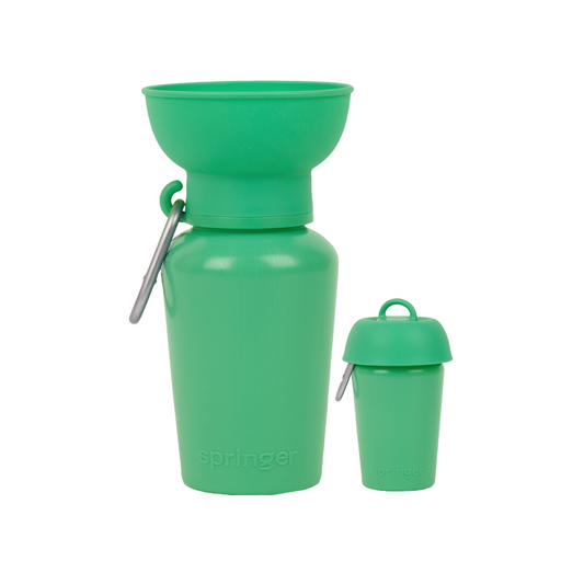 Dog Travel Water Bottle | Mini 15 oz Green