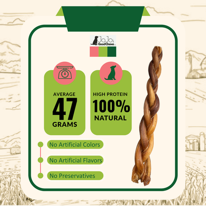 12” Standard Braided Bully Sticks | All-Natural Dog Treats