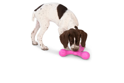 West Paw Skamp Dog Toy