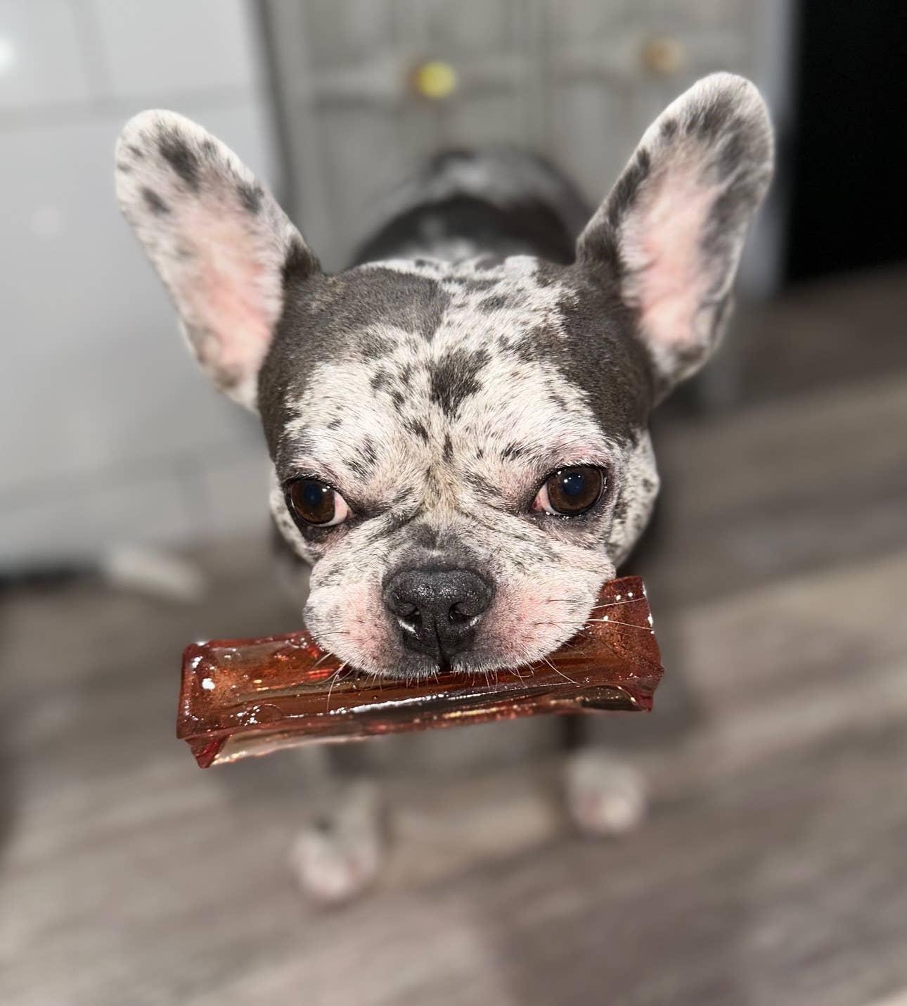 Mighty Marrows Collagen Dental Chew - Bacon